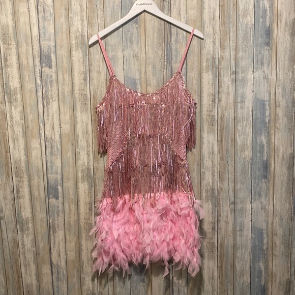 NWT Women’s Flapper Dresses All-Over Fringe | Pink | Size Small - Picture 5 of 10